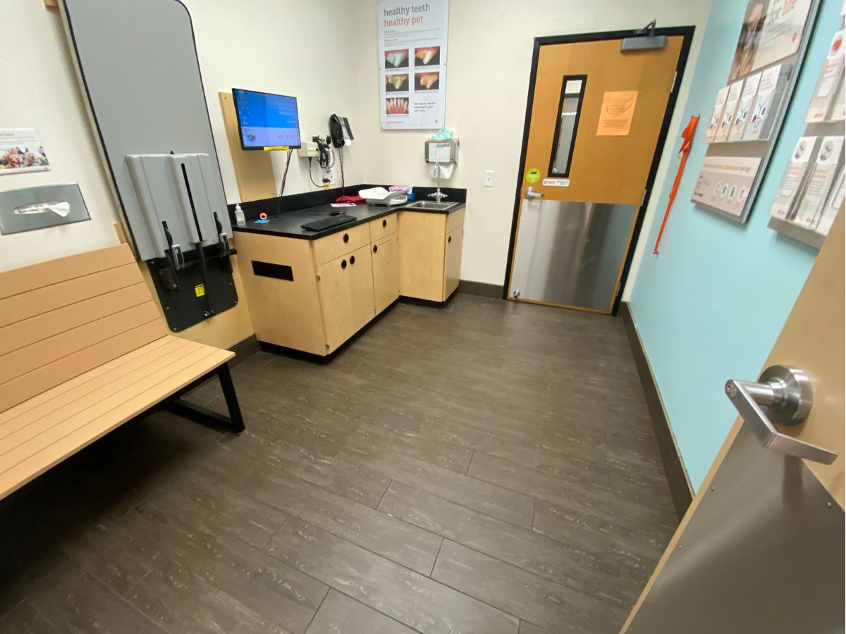 Banfield Pet Hospital: Jacksonville NE exam room