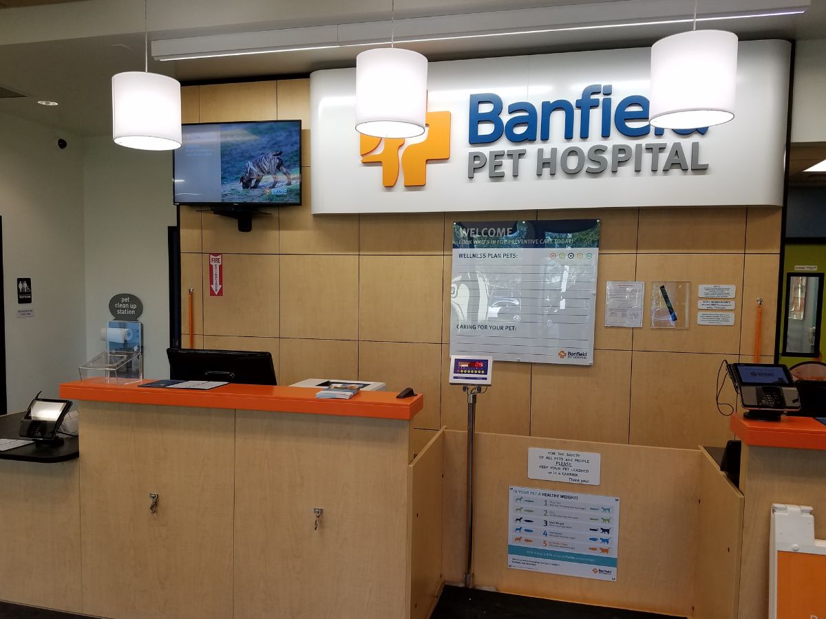 The Banfield Pinecrest front desk and scale