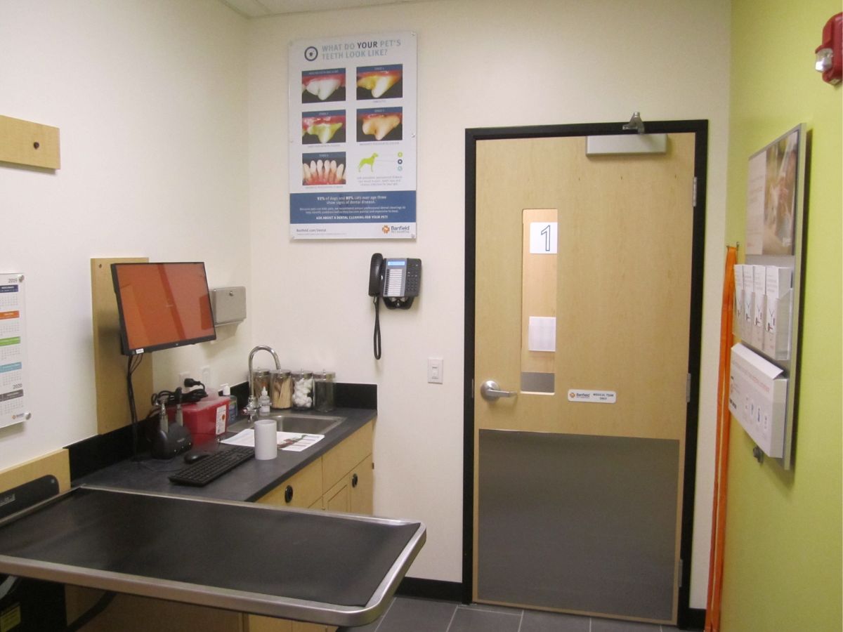 A Banfield Doral exam room with the exam table