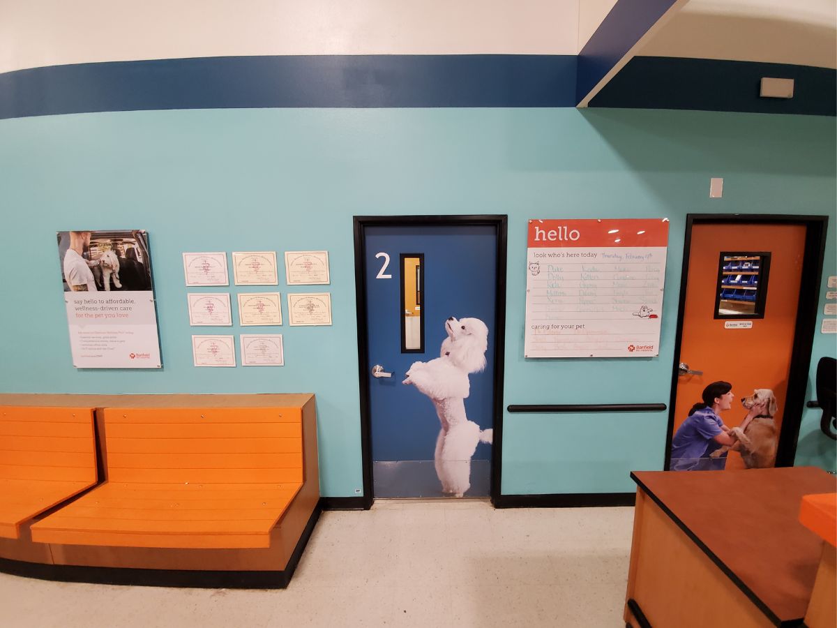 The Banfield Pet Hospital Spanish Fort waiting area