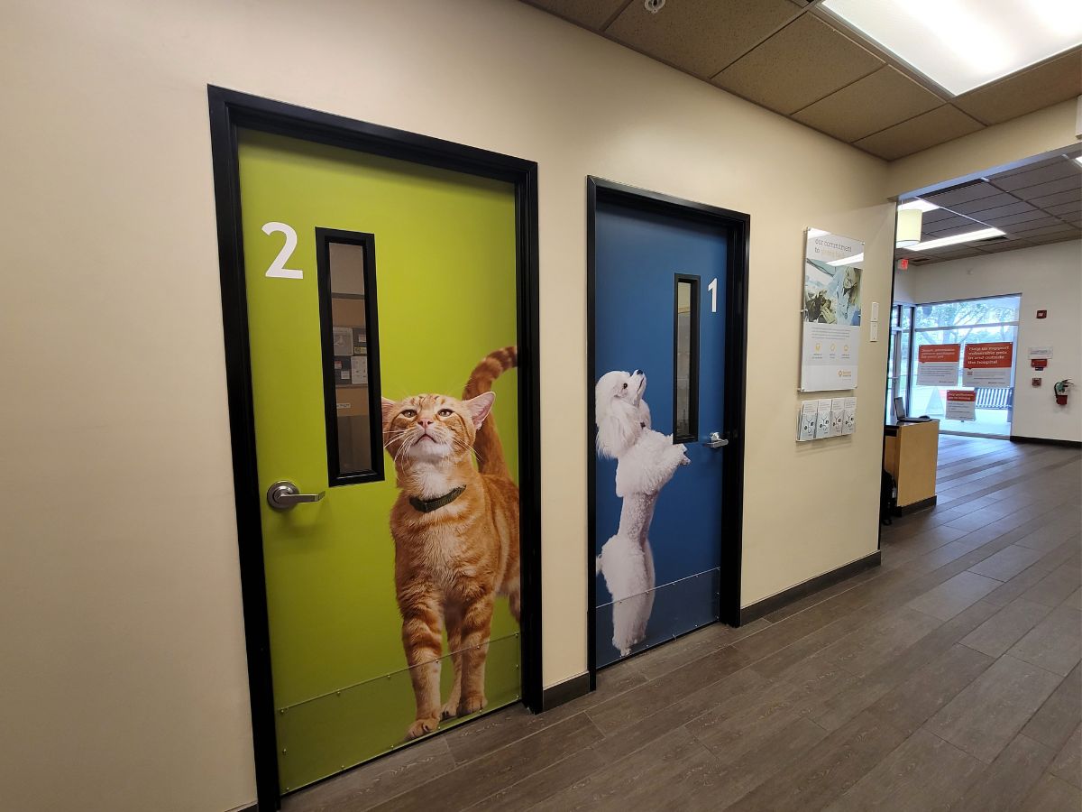 The Banfield Pet Hospital Palm Harbor lobby