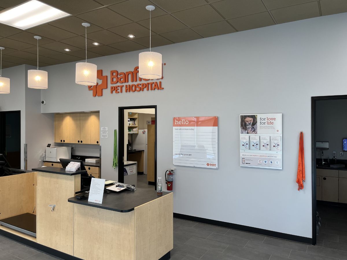 The Banfield Pet Hospital Double Branch front desk