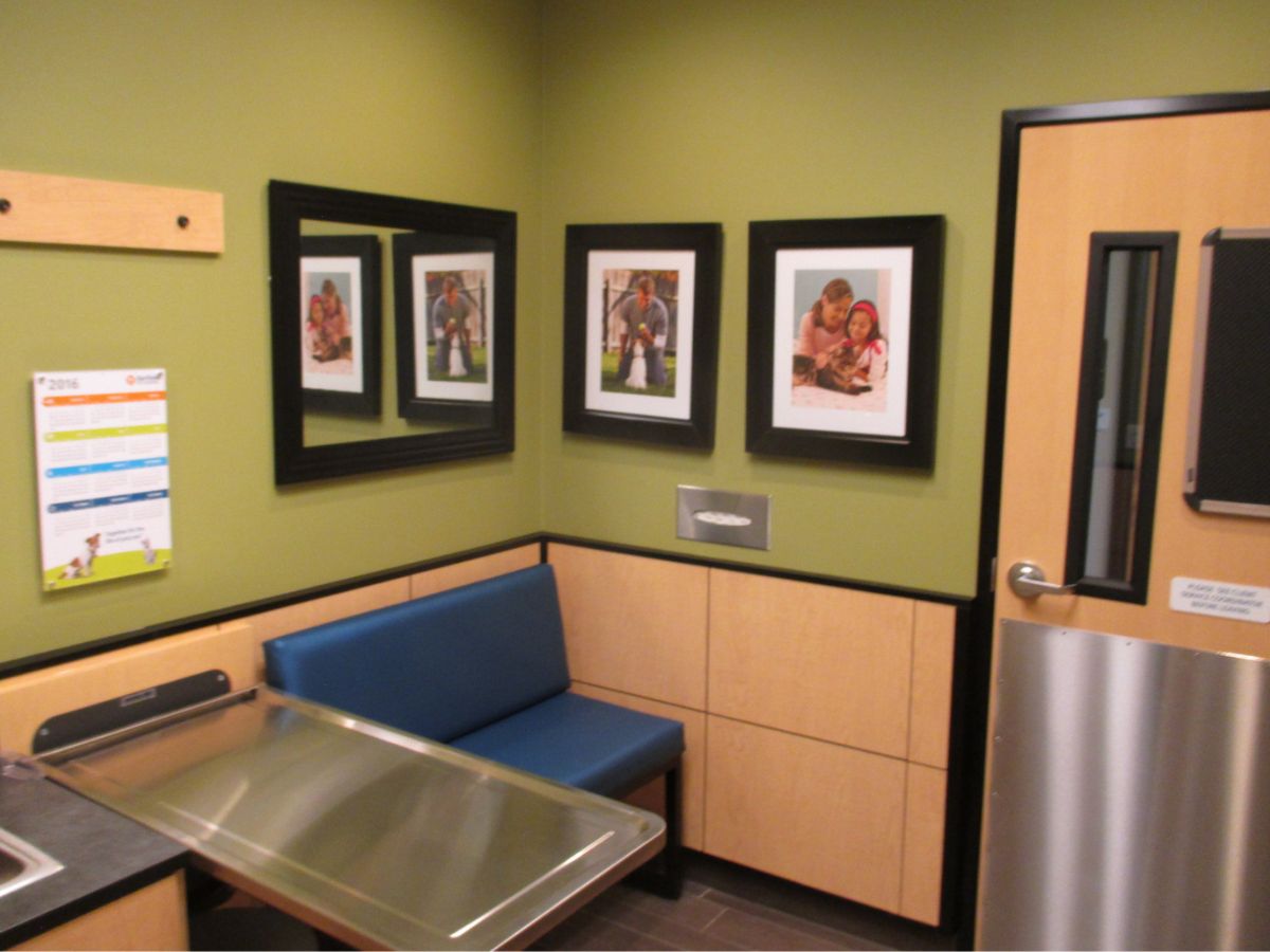 The Banfield Pet Hospital: Duluth Sugarloaf Marketplace exam room with table