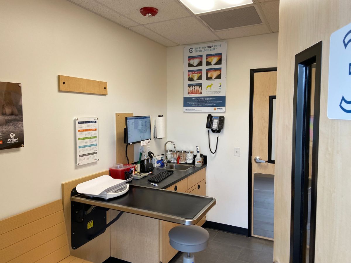 The Banfield Pet Hospital: Smyrna exam room with table