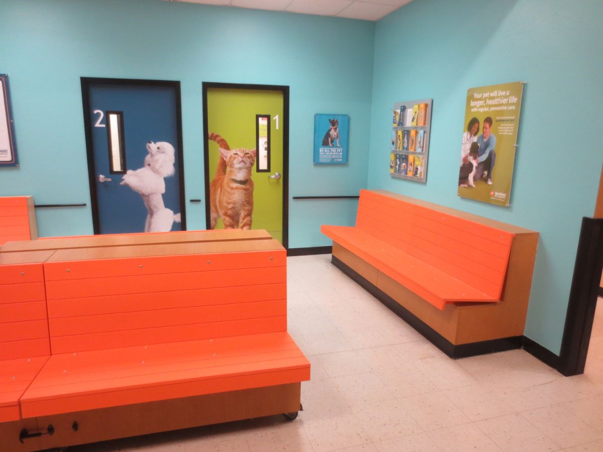 The Banfield Springhurst exam room doors