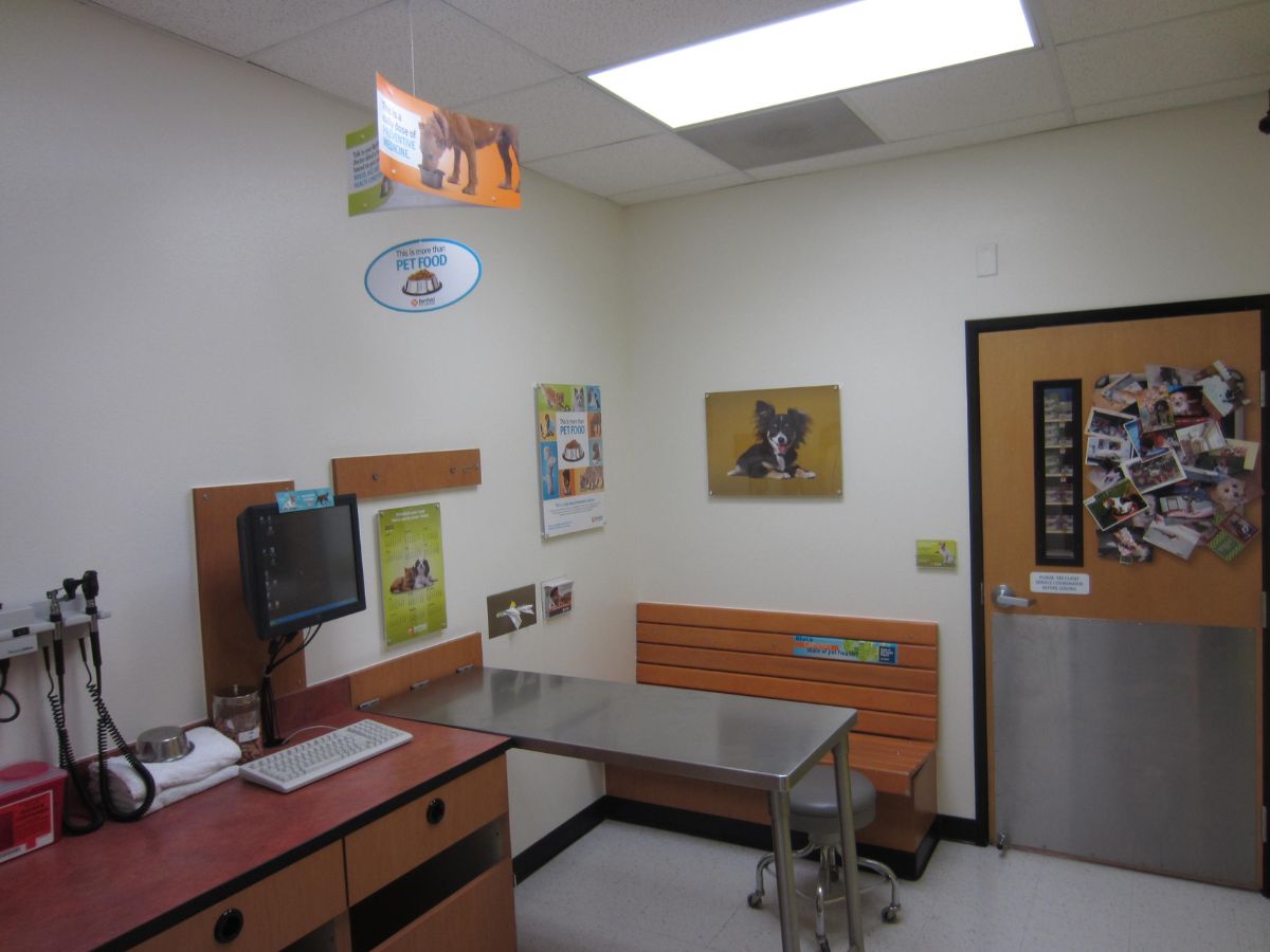 Inside the Banfield Eastvale exam room and table