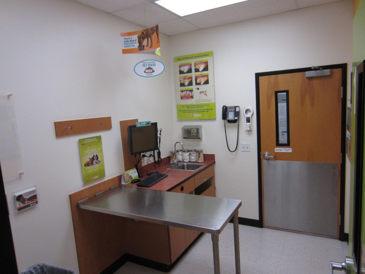 The Banfield Walnut hospital exam room with table