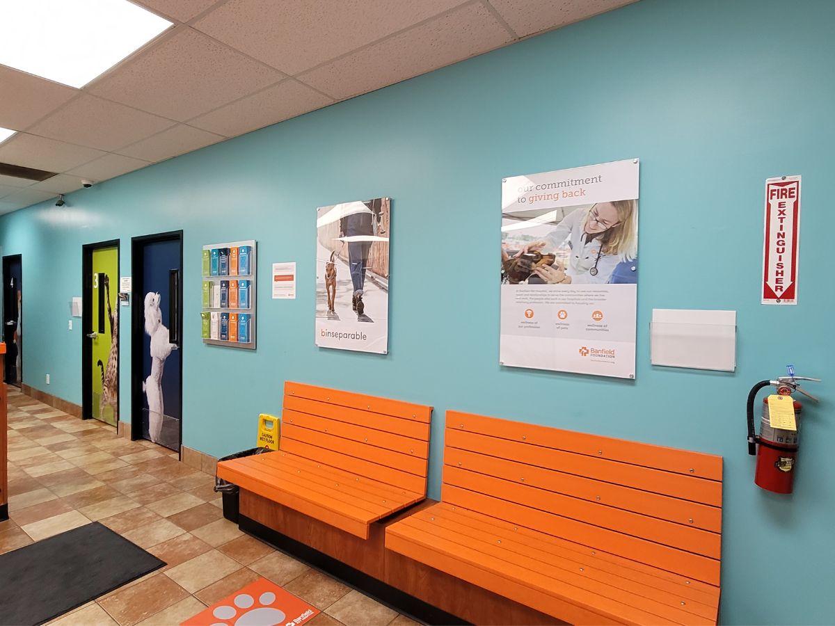 Waiting benches in the St. Louis Park Banfield hospital