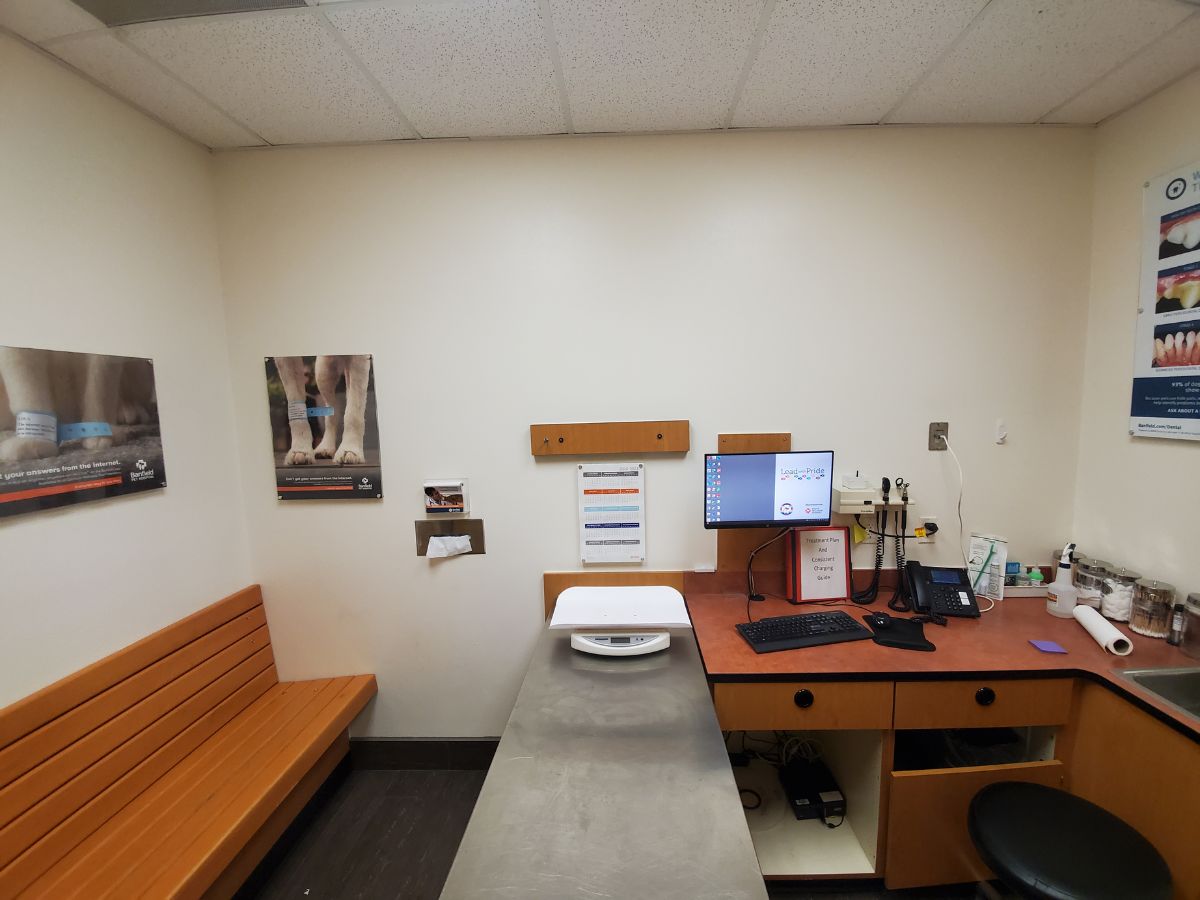 Inside an exam room at the Rochester Banfield hospital