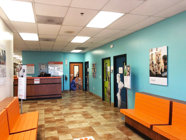 The customer waiting area for the Hickory Banfield hospital