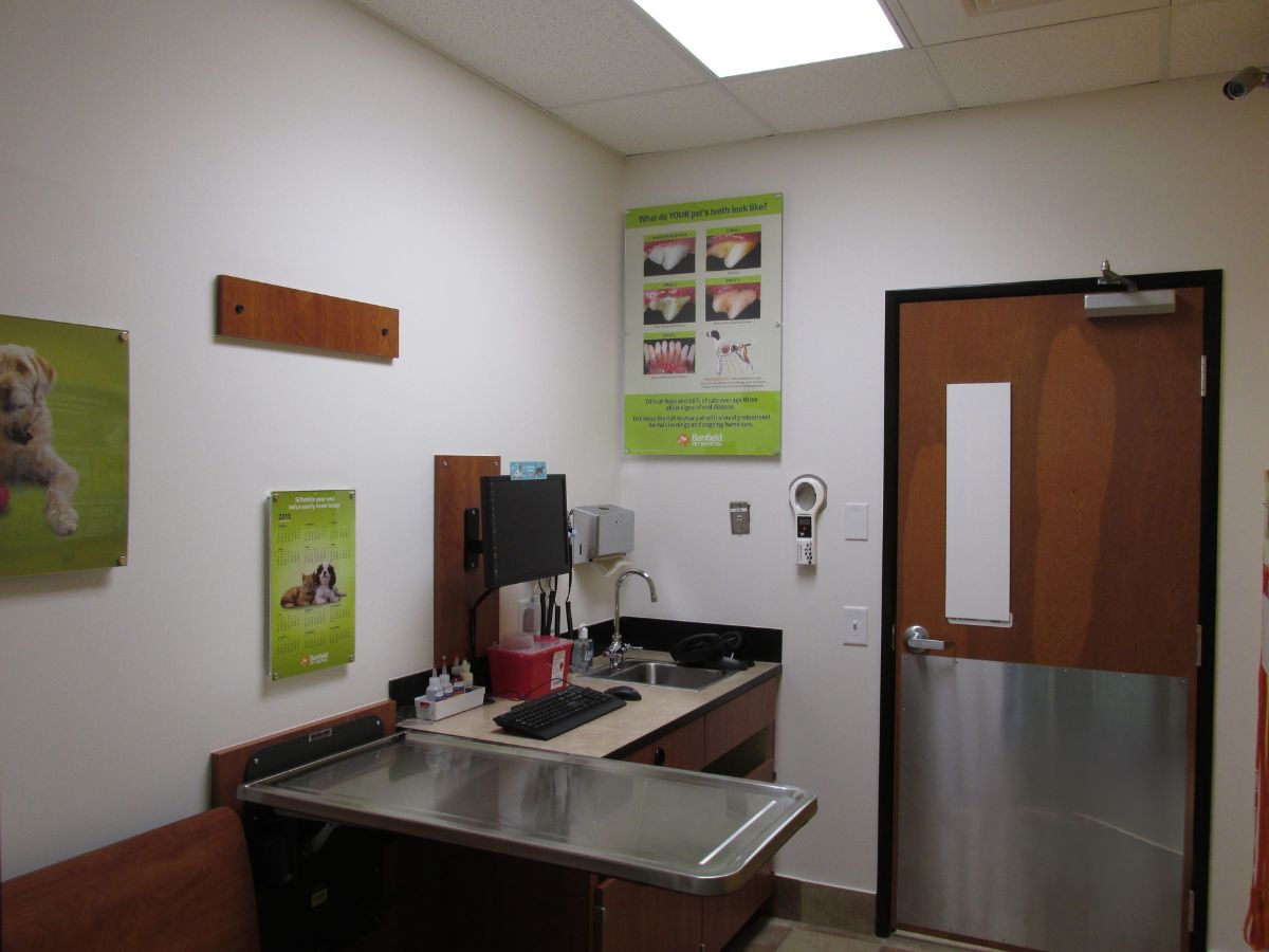 An inside view of a Sanford Banfield exam room