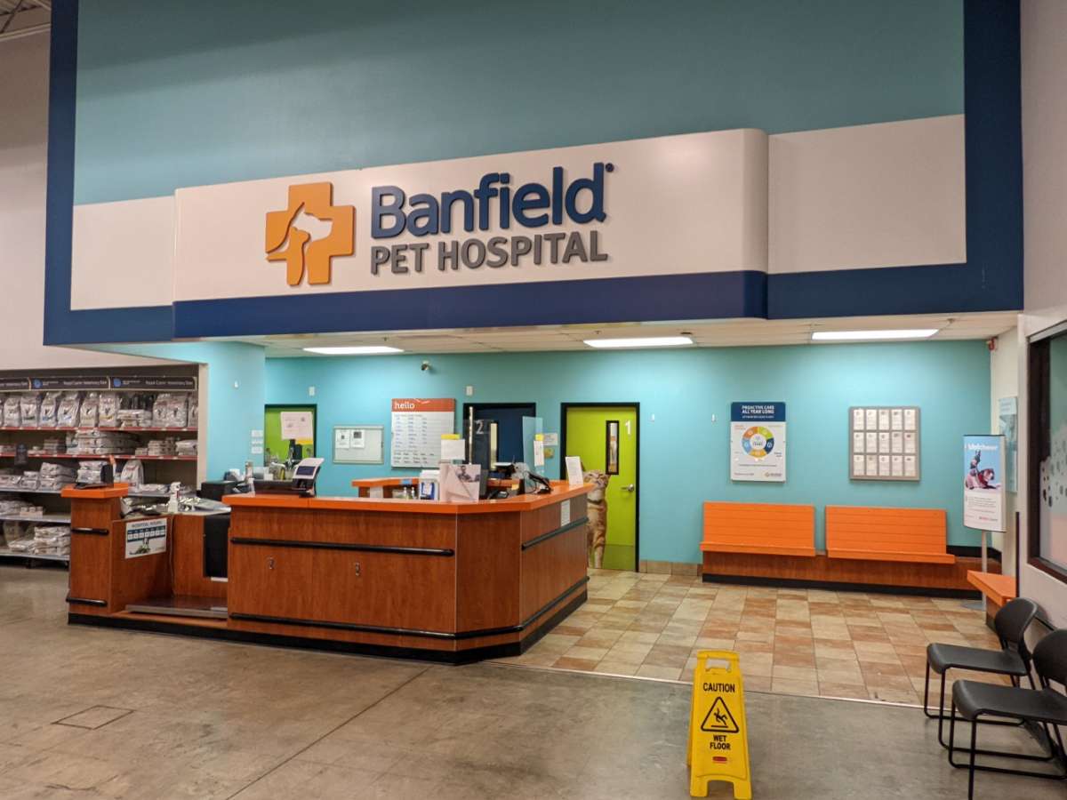 The front desk and waiting area at the Wilmington Banfield hospital