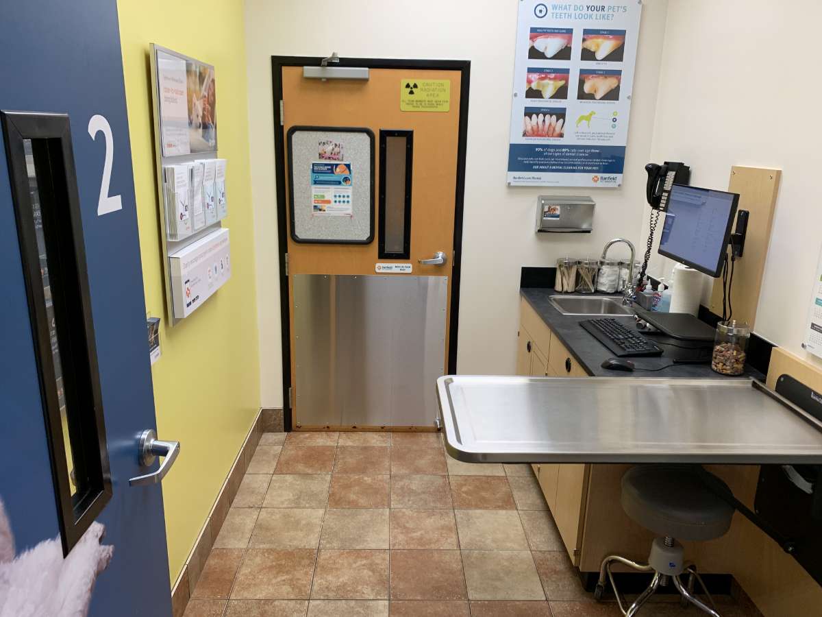 Inside the exam room at the White Oak Banfield hospital