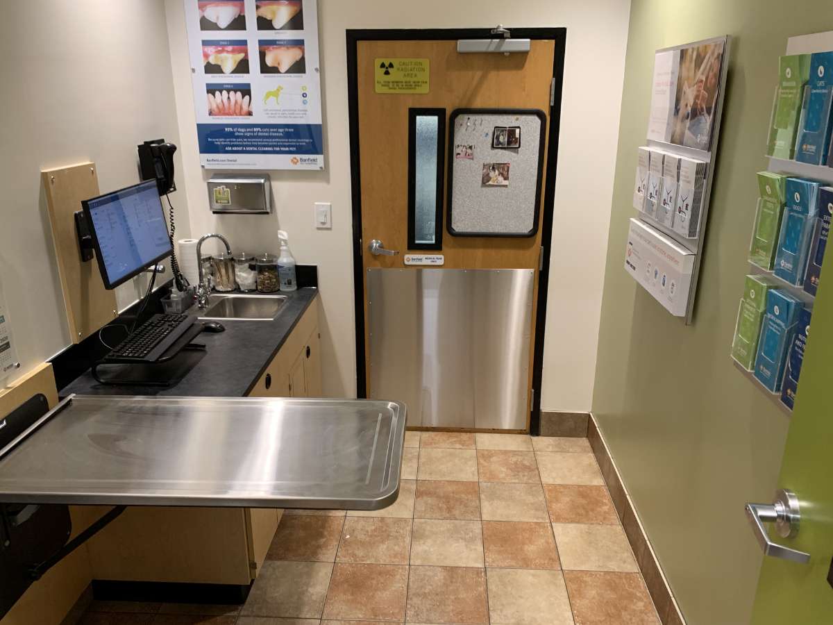 Inside the White Oak Banfield hospital exam room