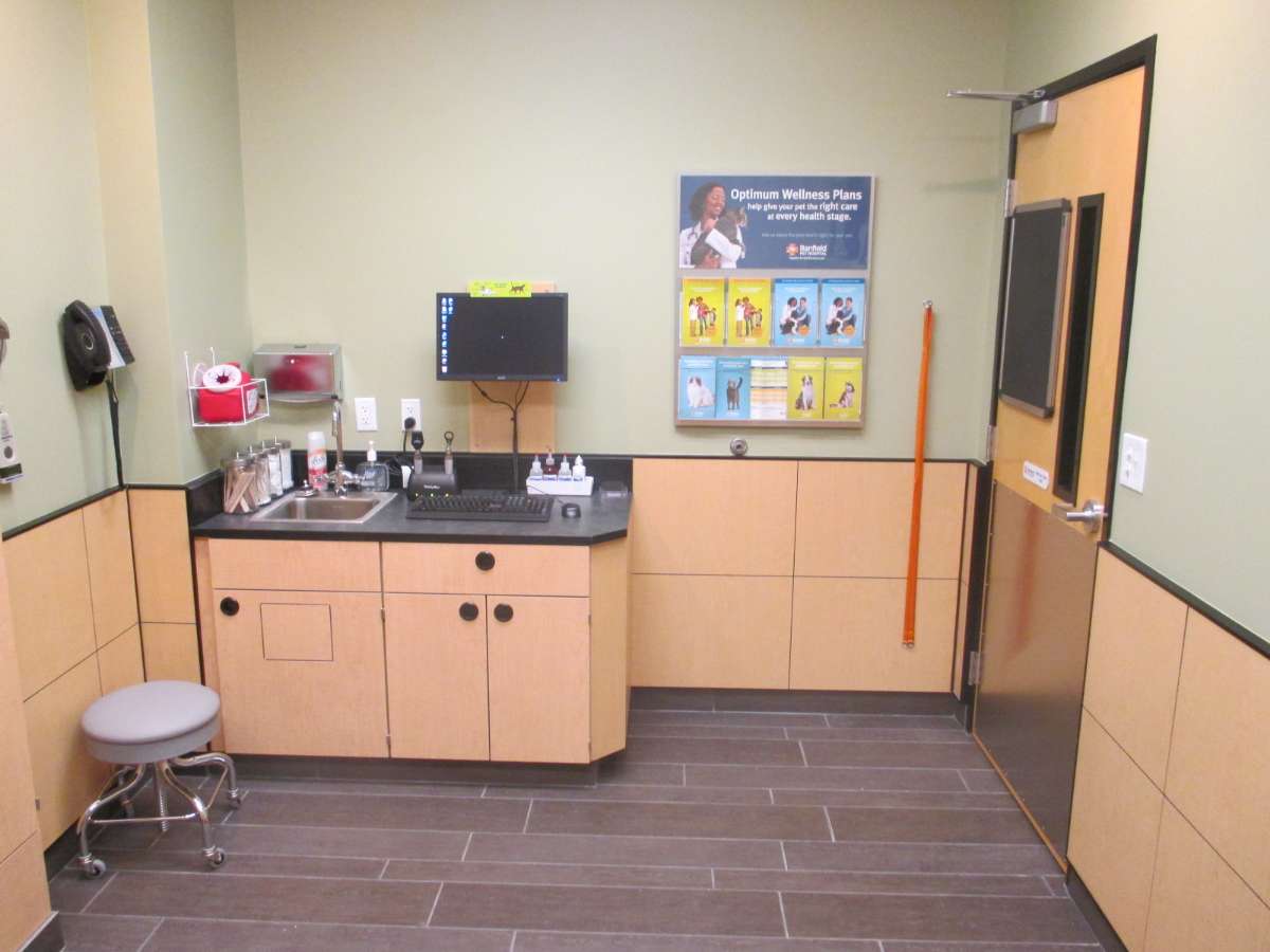 Inside the exam room of the Raleigh Leesville Banfield hospital