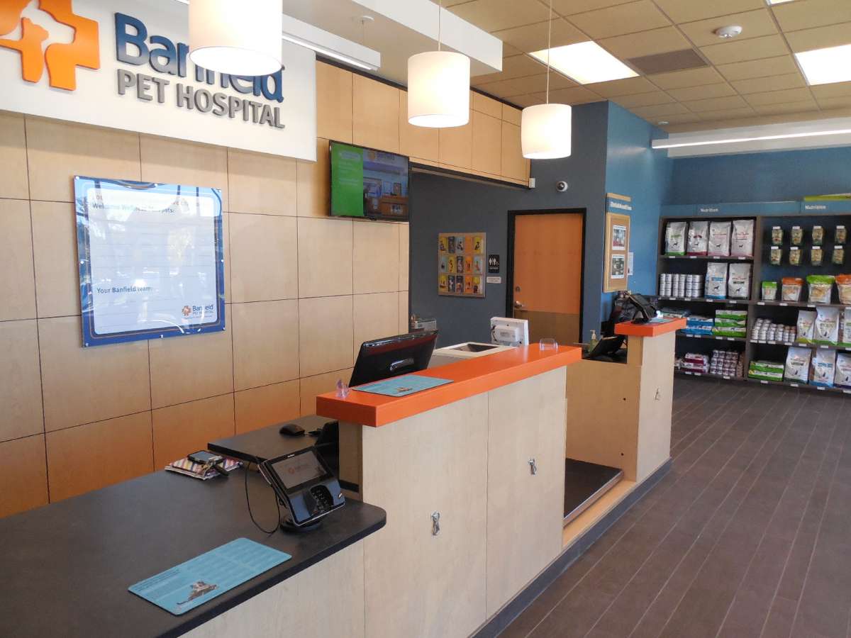 The Harrisburg Banfield front desk and supply shelves