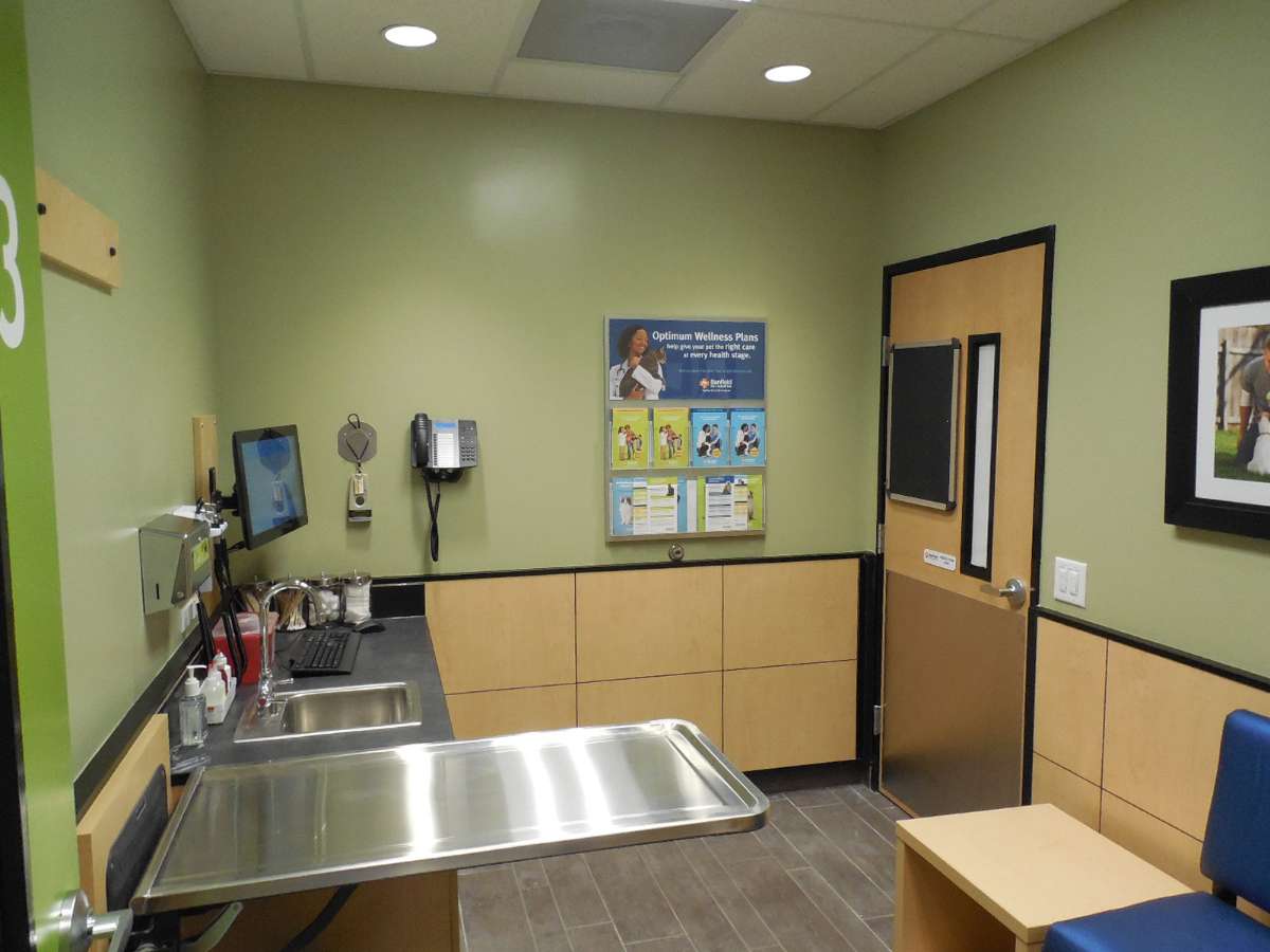 The exam room at the Harrisburg Banfield hospital