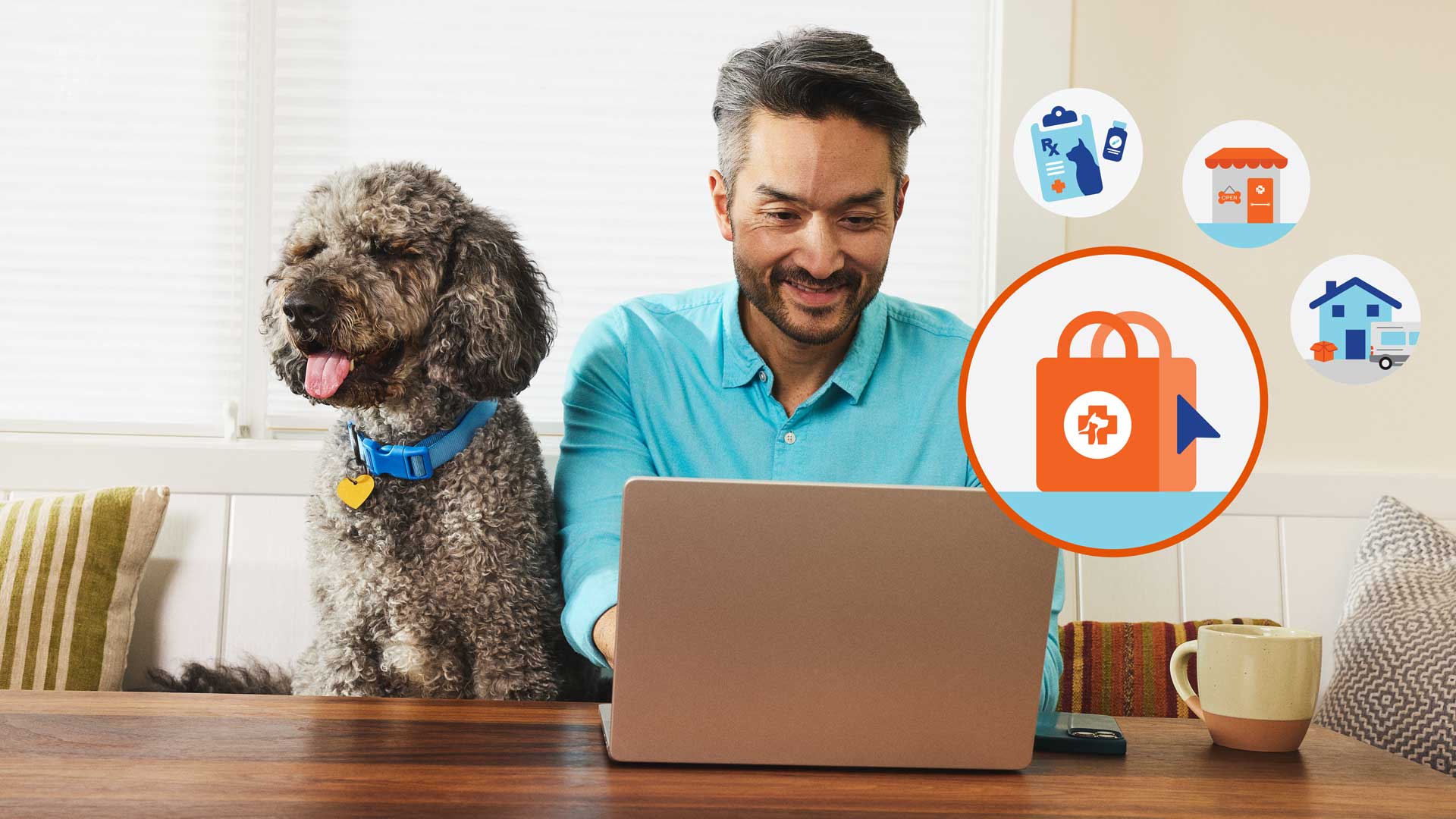A gray and brown Pumi sitting next to its owner while looking at pet medications