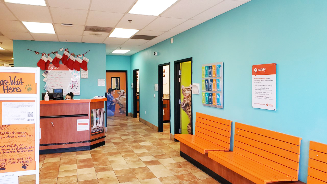 The front lobby inside Banfield - Poland