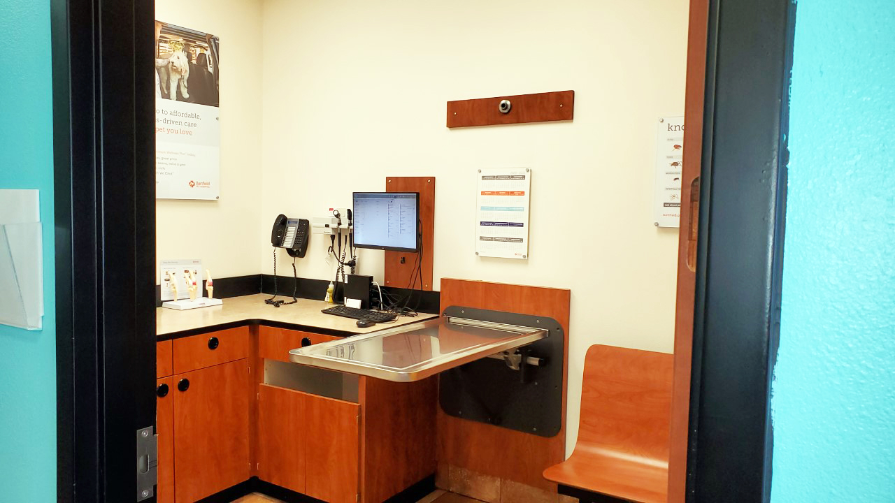 Inside view of the Banfield - Poland exam room
