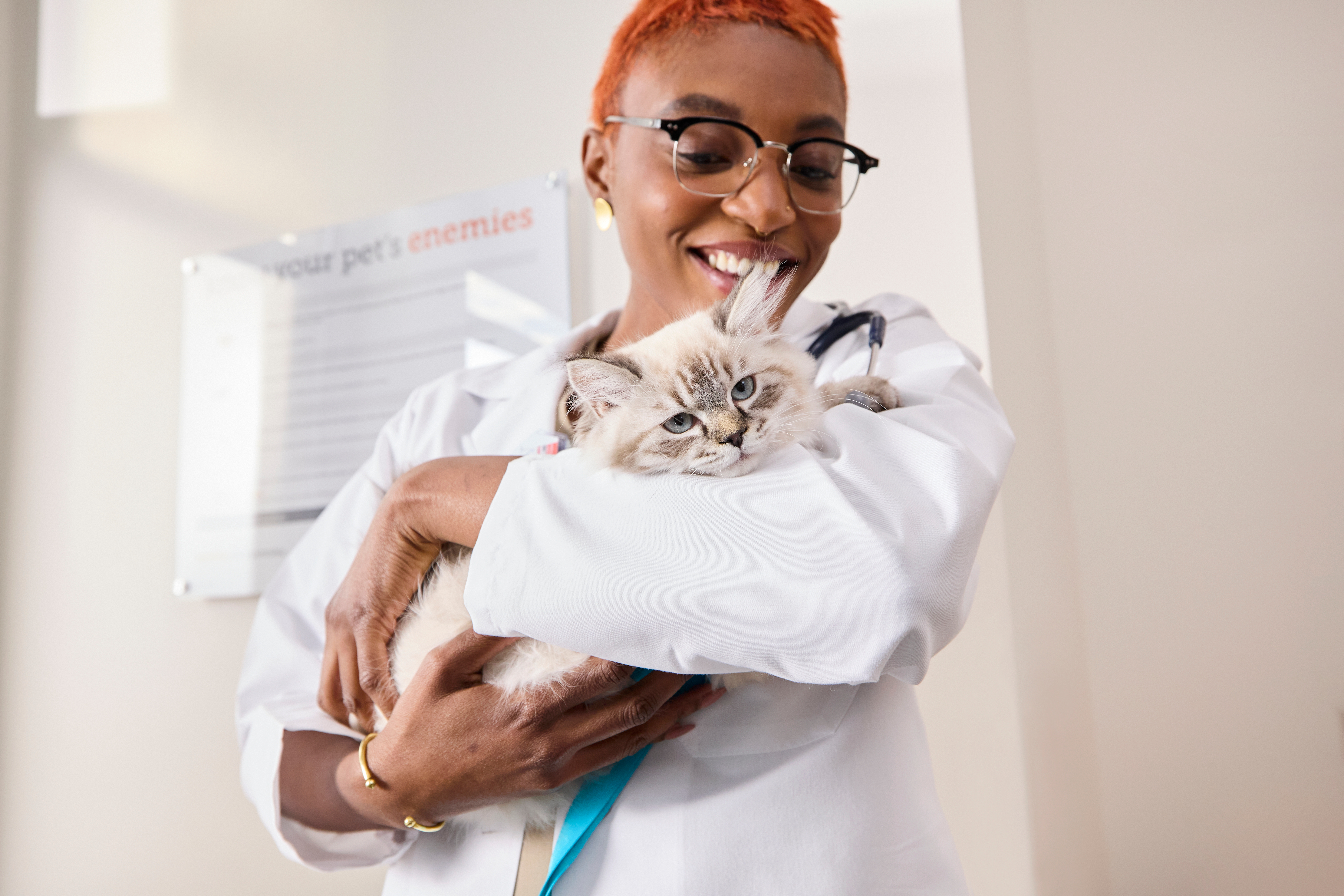 A Banfield veterinary professional holds a fluffy white cat