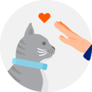 Illustrated icon of a hand reaching out to pet a grey cat