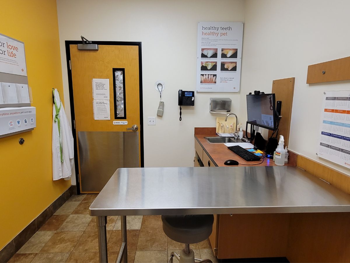 A view of the Old Katy Banfield exam room and folding table