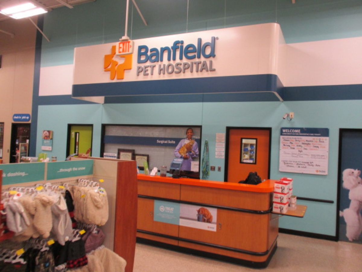 The Banfield - Houston Heights front desk and check-in area