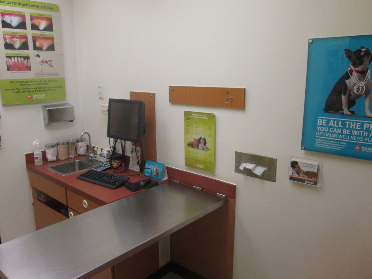A view of the Banfield - Houston Heights exam room and folding table
