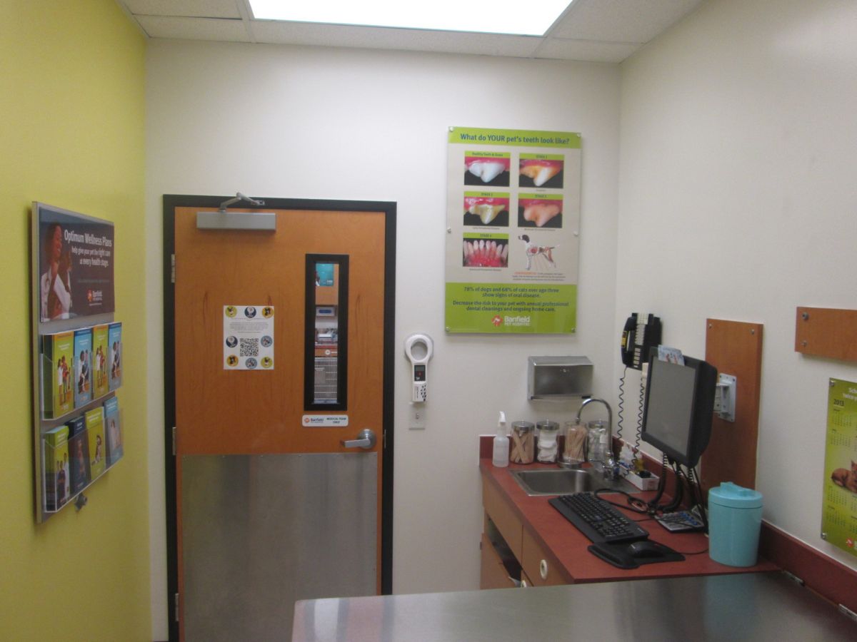 Another view of the Banfield - Houston Heights exam room