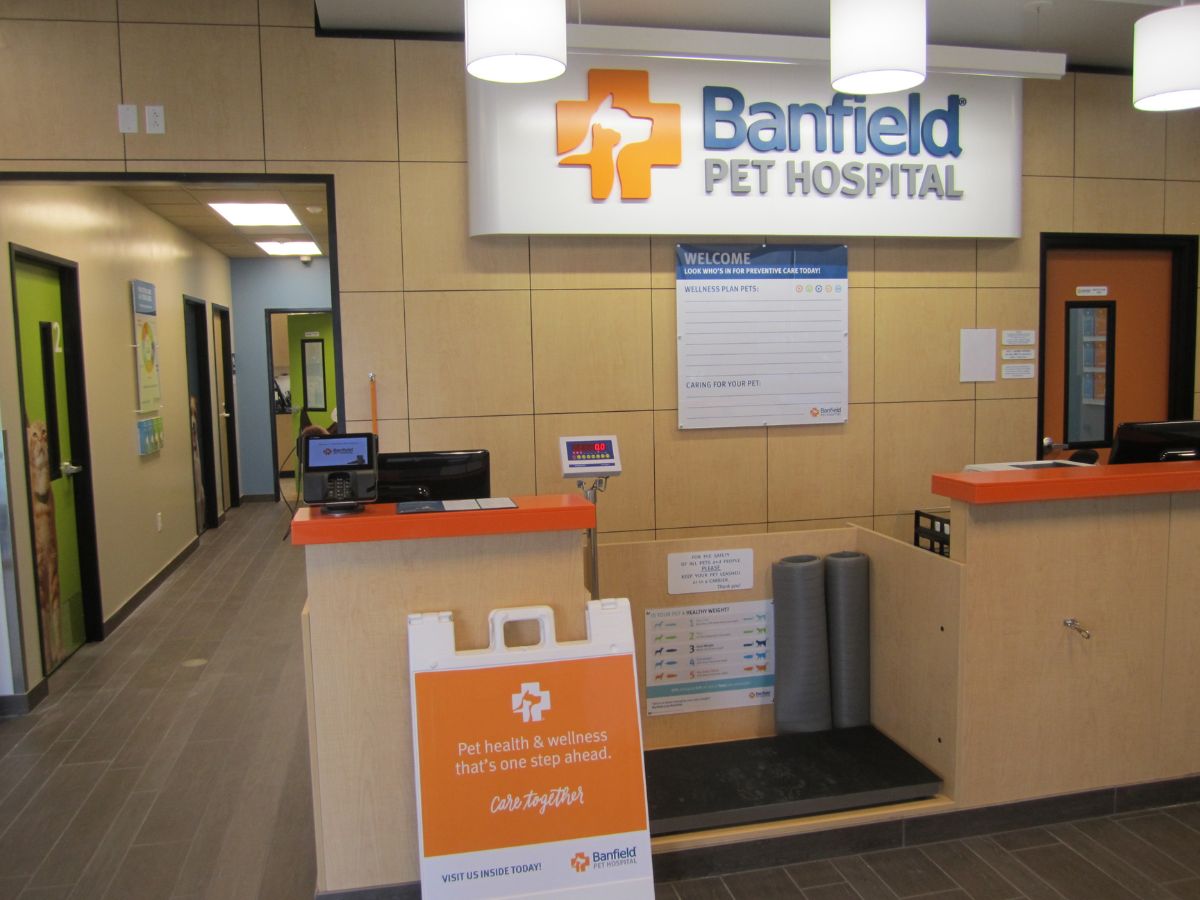 The Banfield - Kingwood front desk and check-in area