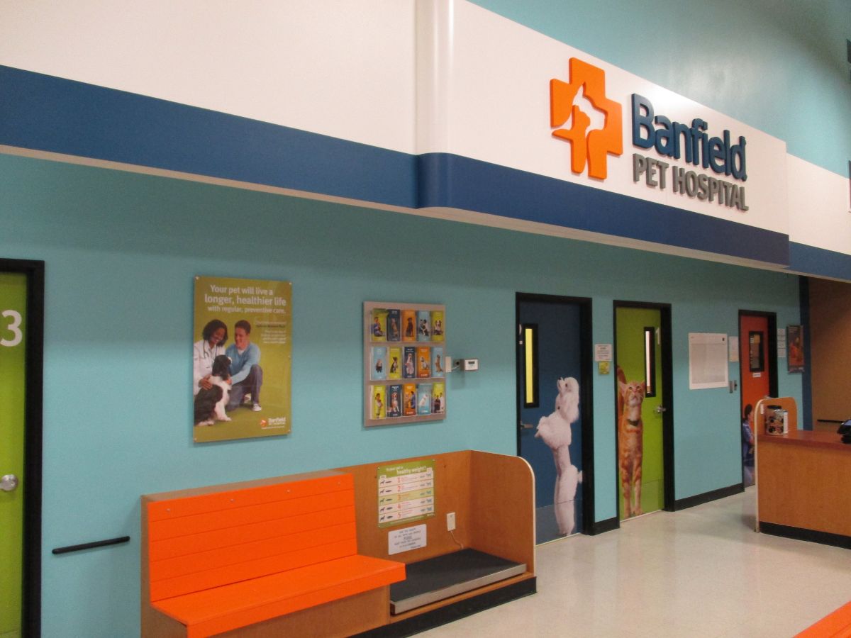 The Banfield - Baton Rouge South lobby and exam rooms