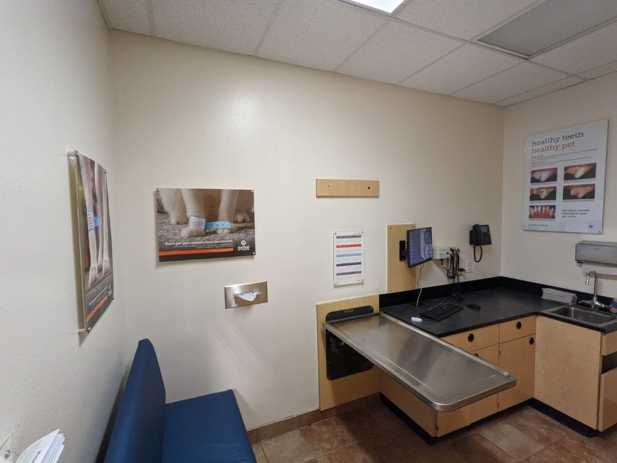 An alternate view of the Banfield - East Baton Rouge exam room