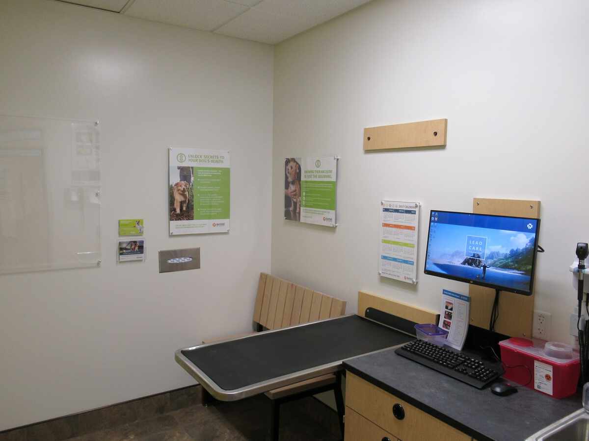 The Dublin East Banfield exam room and table