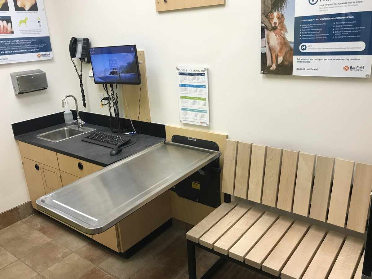 A view of the Banfield - San Leandro exam room and table