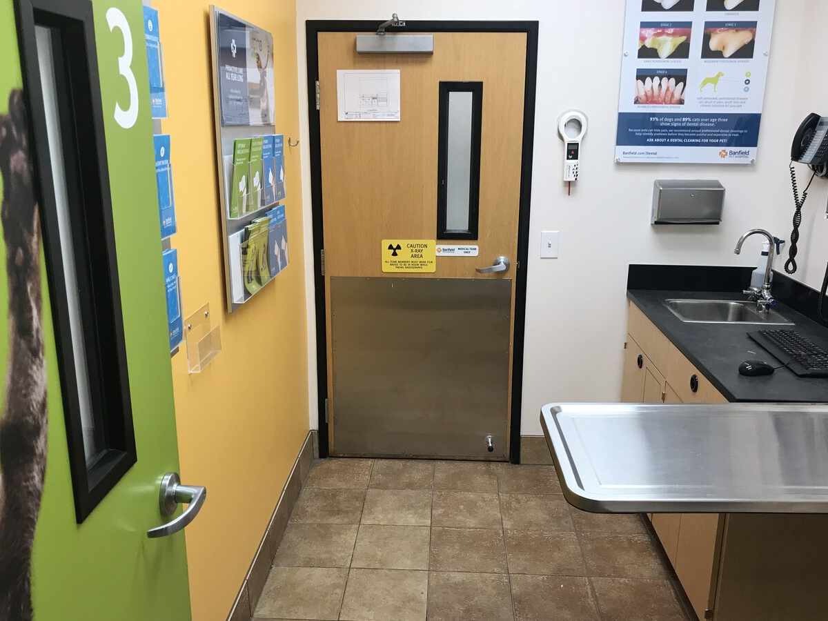 The Banfield - San Leandro exam room and table