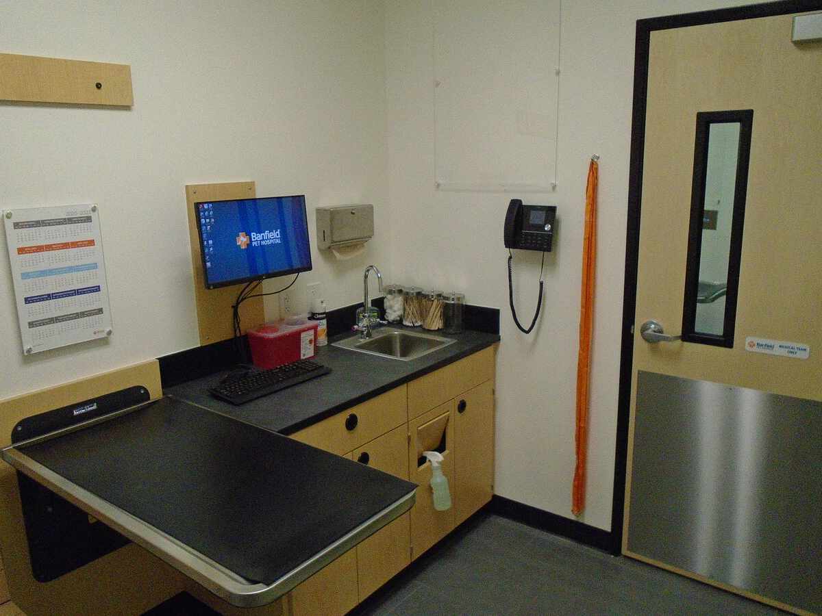 A view of the San Jose Silver Creek Banfield exam room