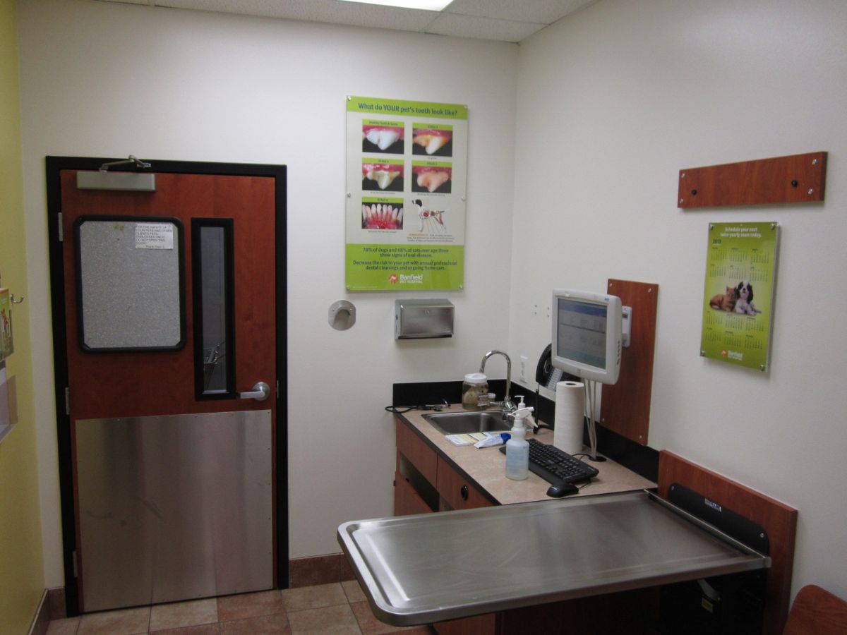 A view of the Banfield - Houston (I-45) exam room and exam table