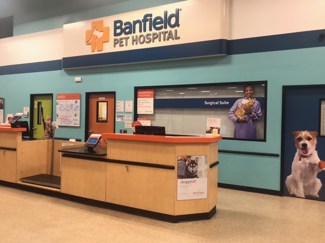 An alternate view of the Banfield - Baton Rouge front lobby