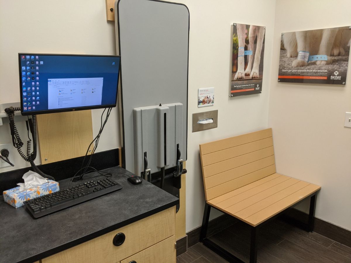 An alternate view of the Banfield - Pearland exam room with table