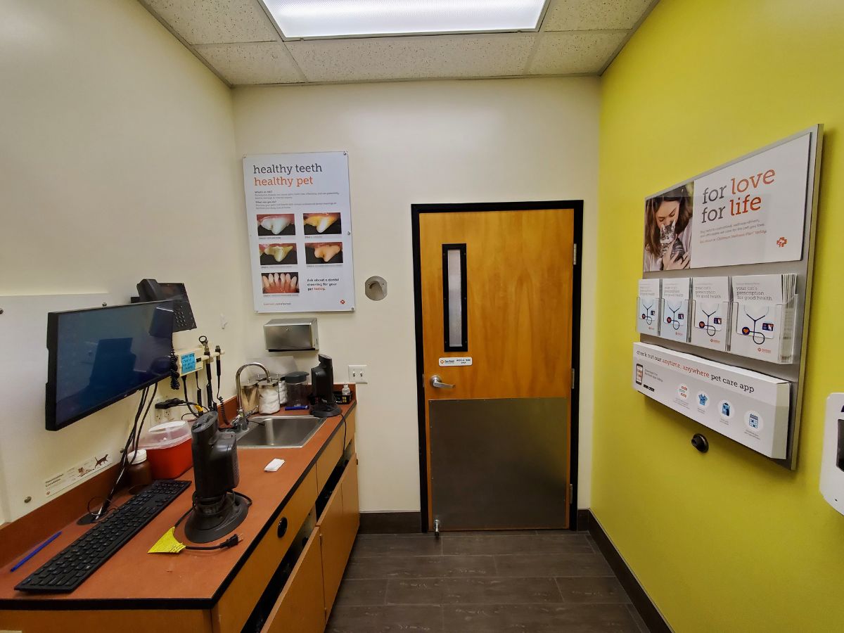 A view of the Banfield - South Loop Astrodome exam room