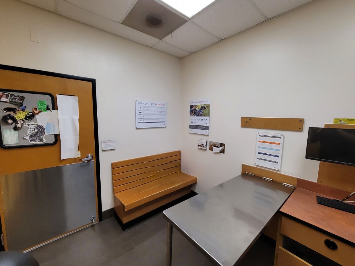 A view of the Banfield - Missouri City hospital exam room