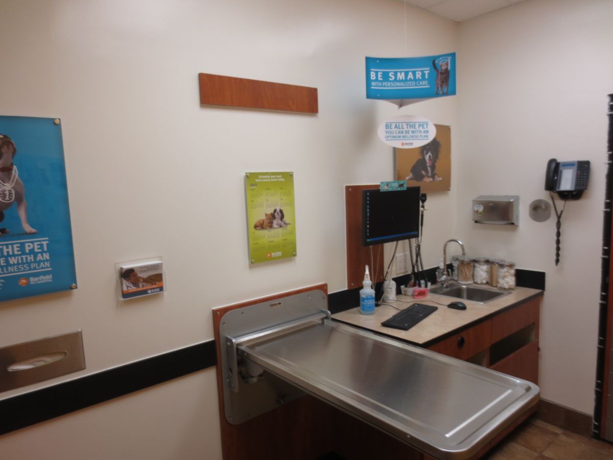 The Banfield Pet Hospital: Webster exam room with table