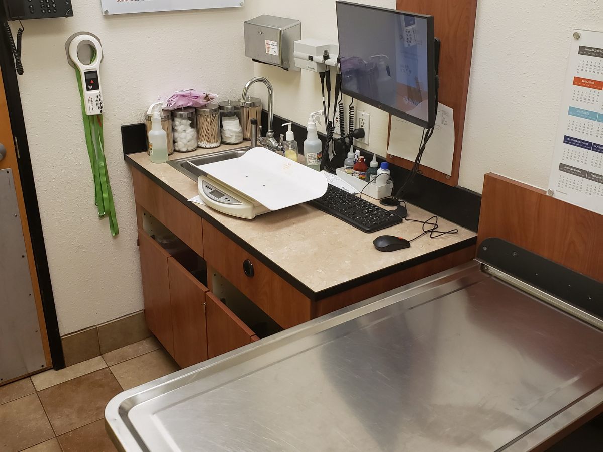 The Banfield Pet Hospital: Pasadena exam room with table