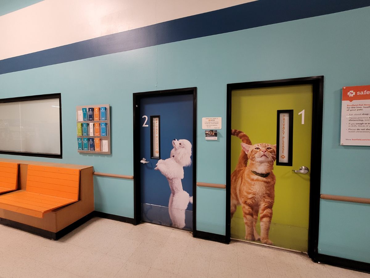 The exam room doors at the Flowood Banfield hospital