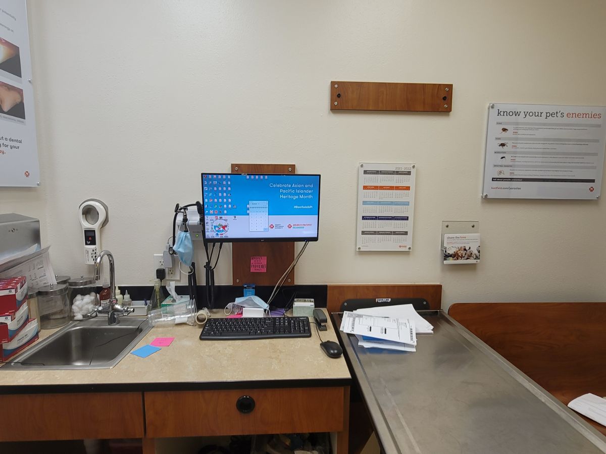 The Elmwood Banfield hospital exam room