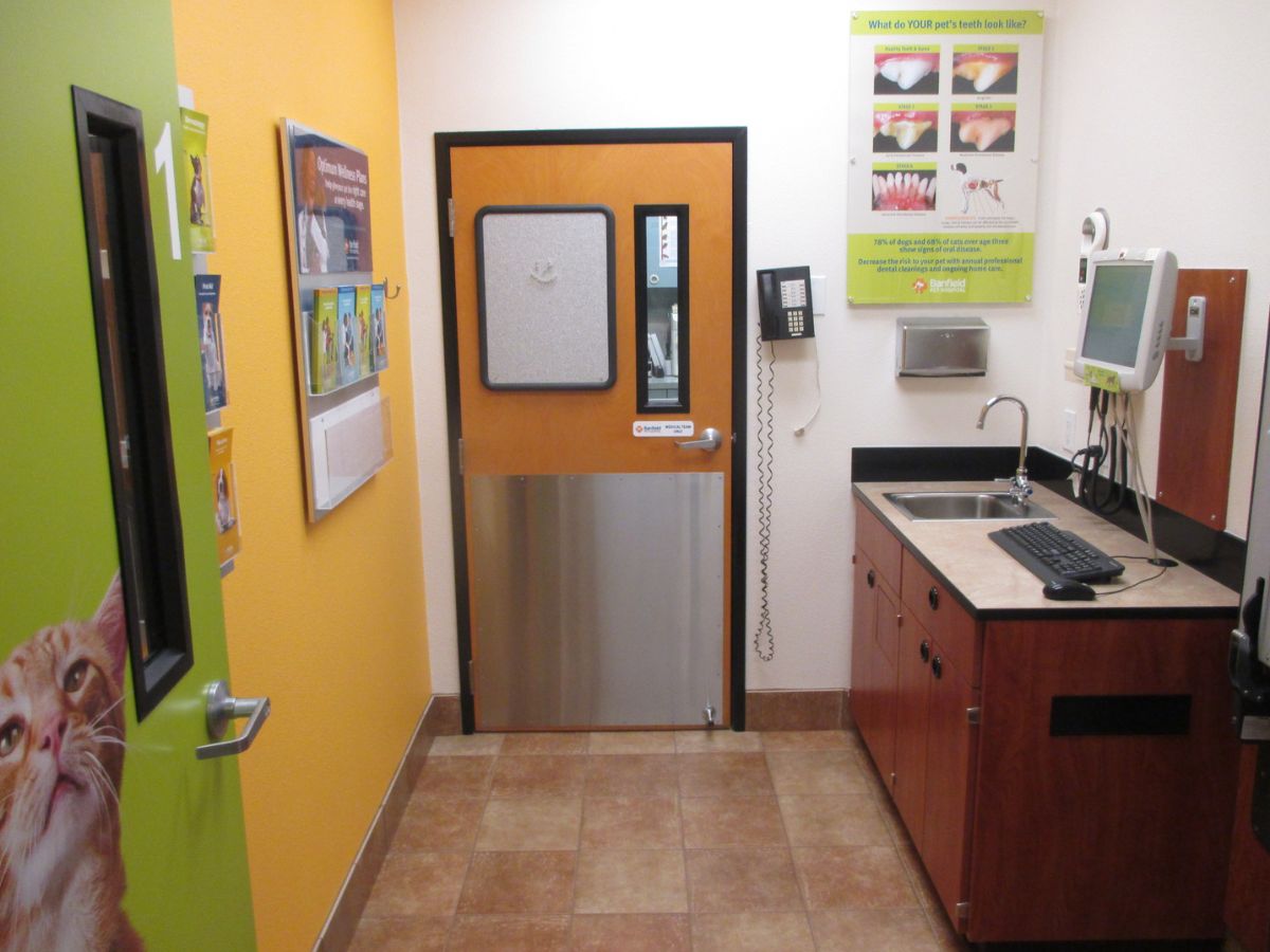 A view of the Banfield - Covington exam room and table