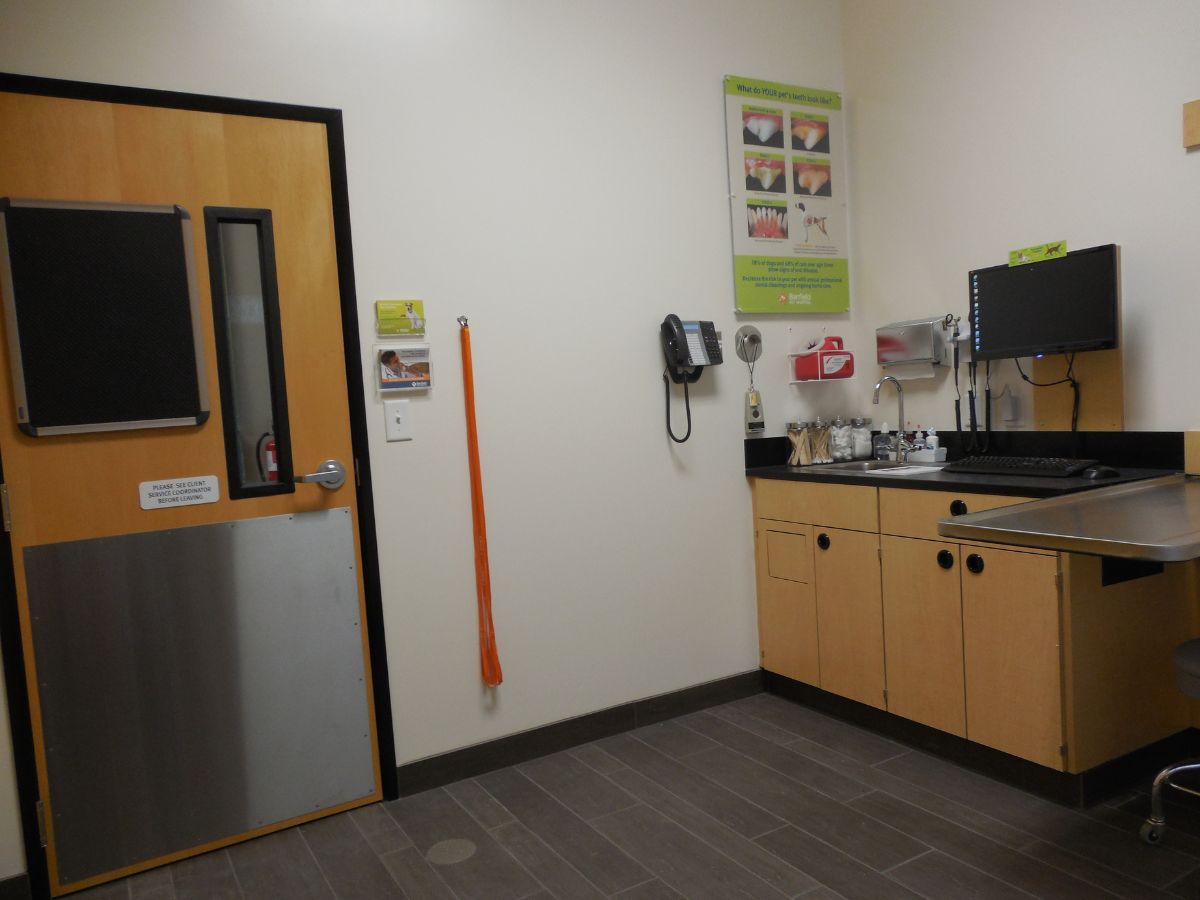 The Banfield - Houston Meyer Park exam room with table