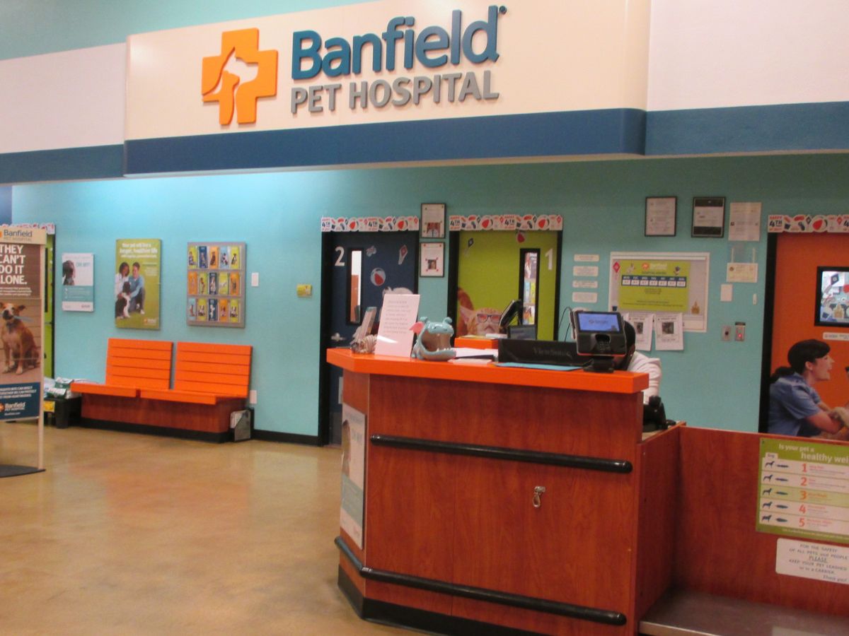The Banfield - Gaithersburg hospital front desk area