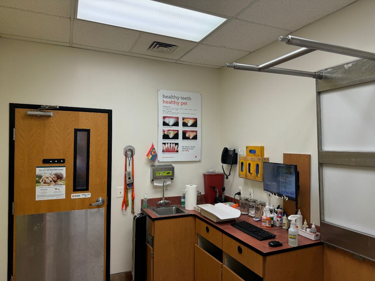 An exam room view inside Banfield - Bethesda